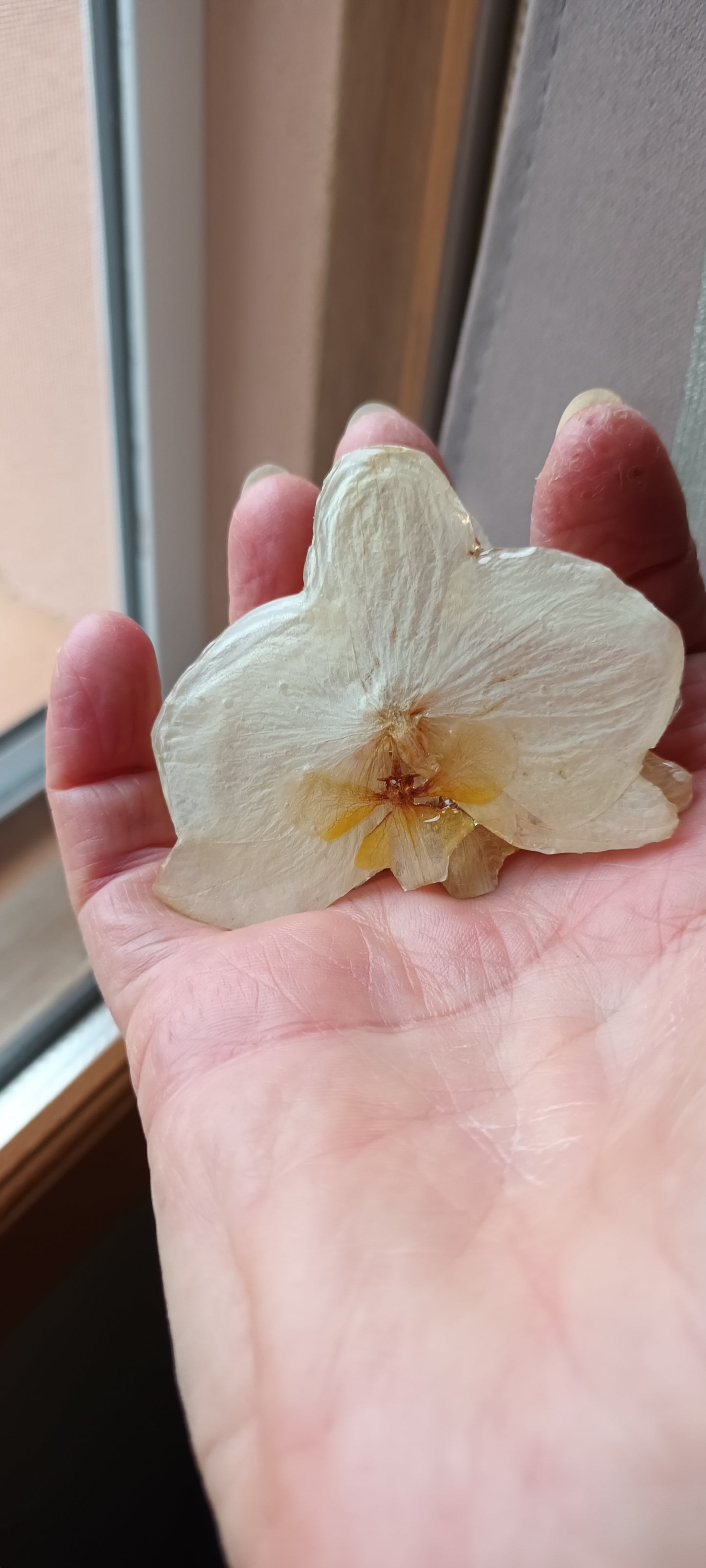 Barrette en résine dites pince crabe, orchidées pressées