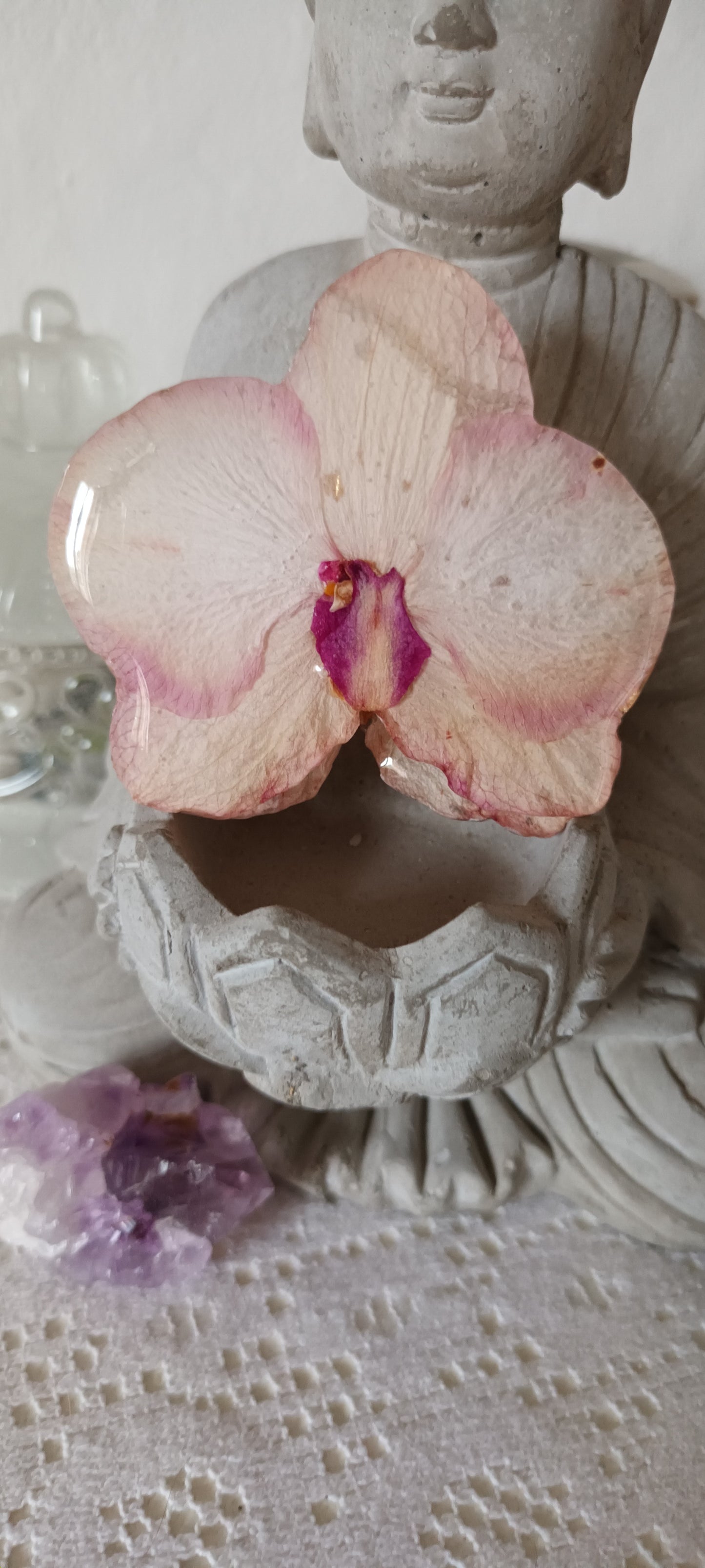 Barrette pince crabe en résine orchidée séchée