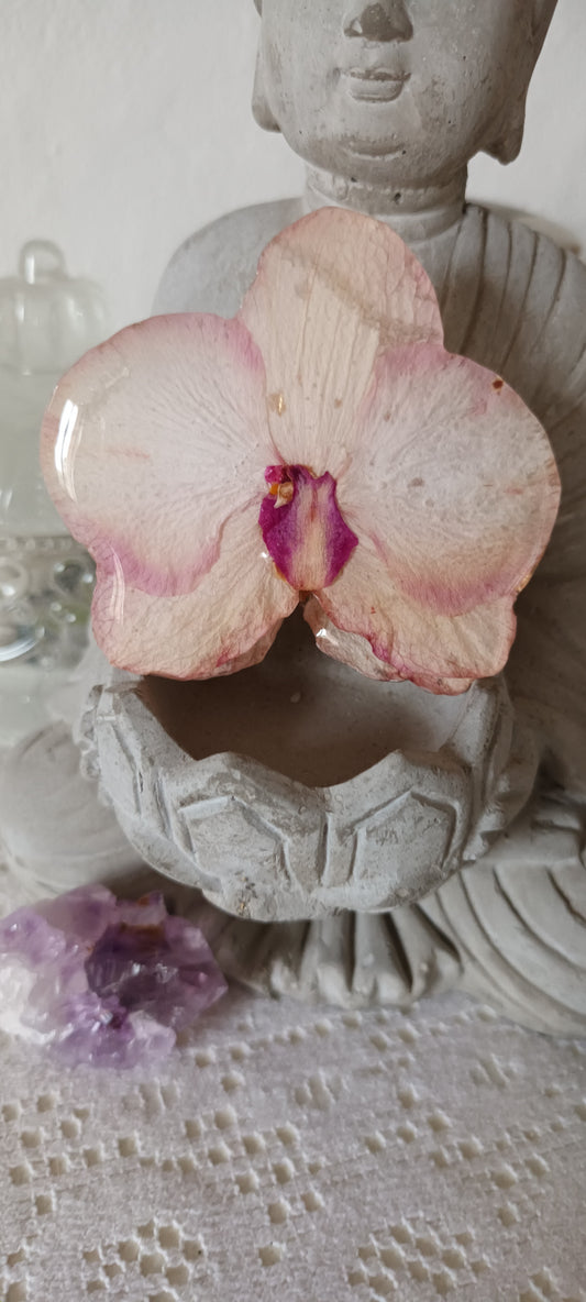 Barrette pince crabe en résine orchidée séchée